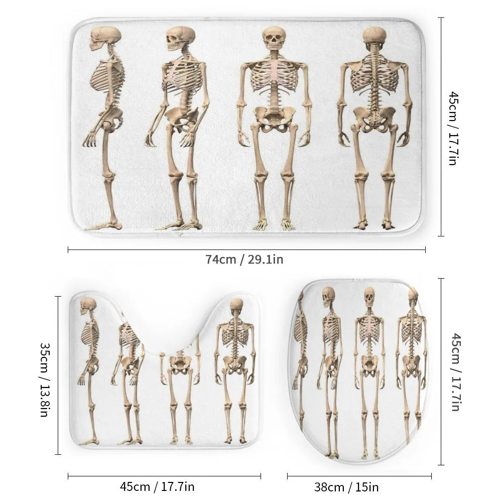 Medical Skeleton — Detail 1