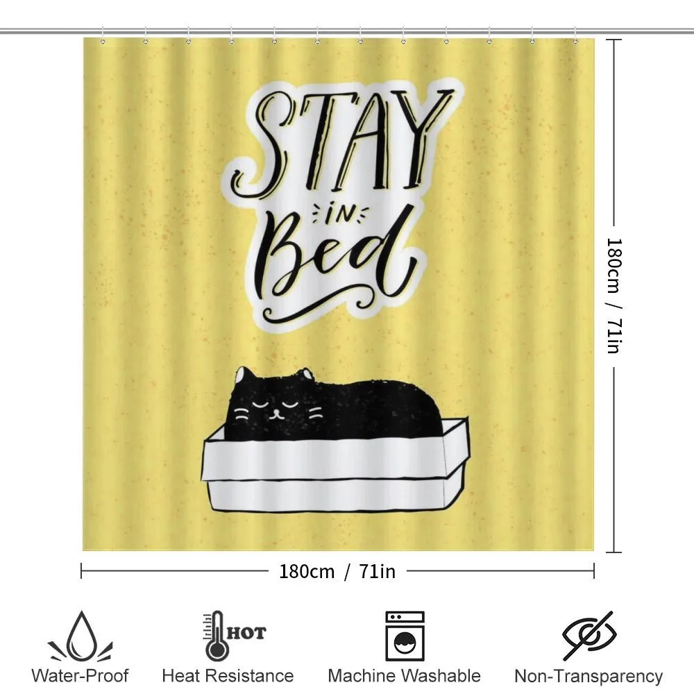 Sleepy Black Cat in a Box — Detail 2