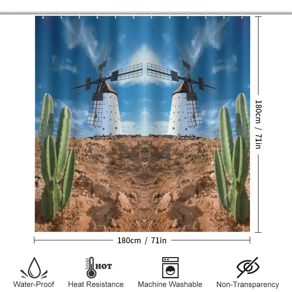 Windmill and Exotic Cactus — Detail 2