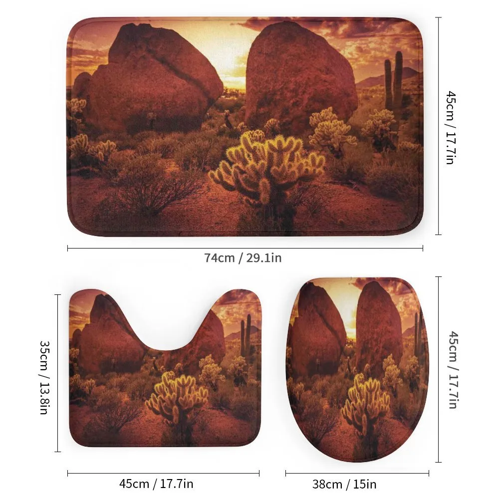 Cactus Rocks Desert Scenery — Detail 1