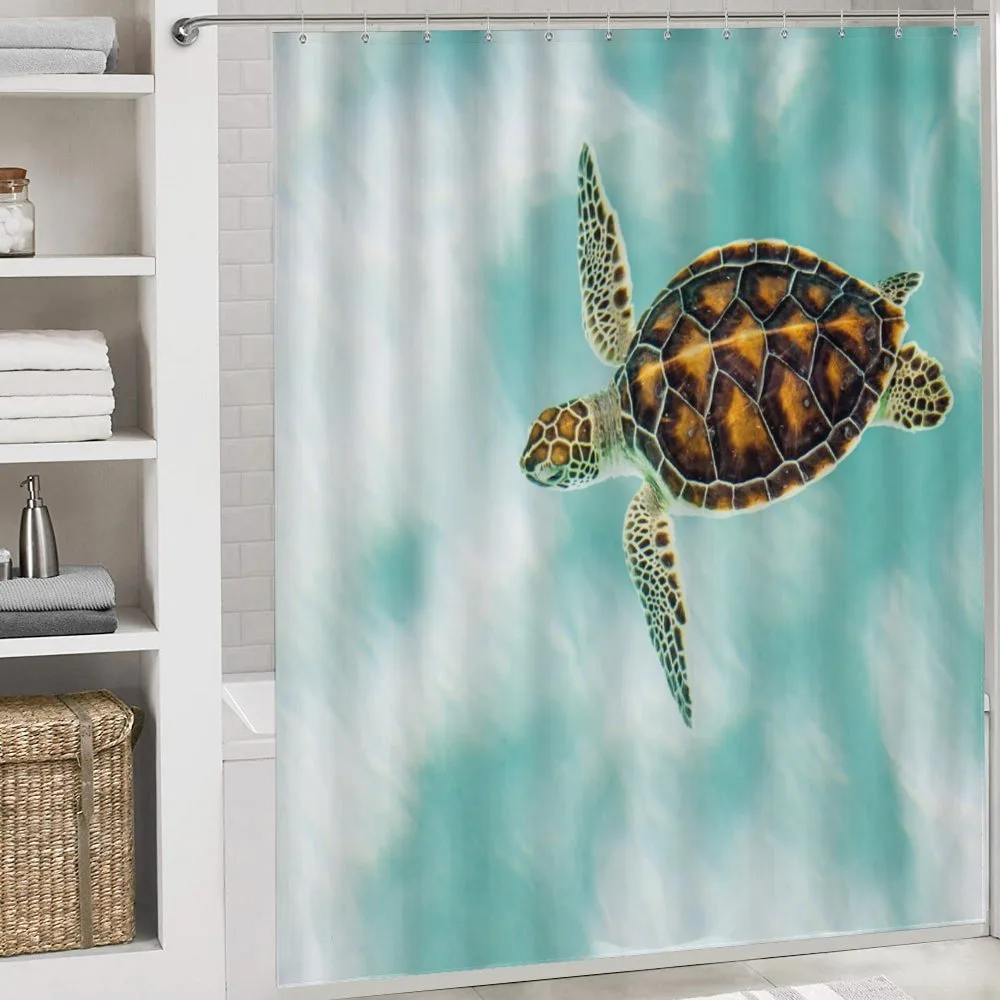 Endangered Baby Turtle — Detail 4