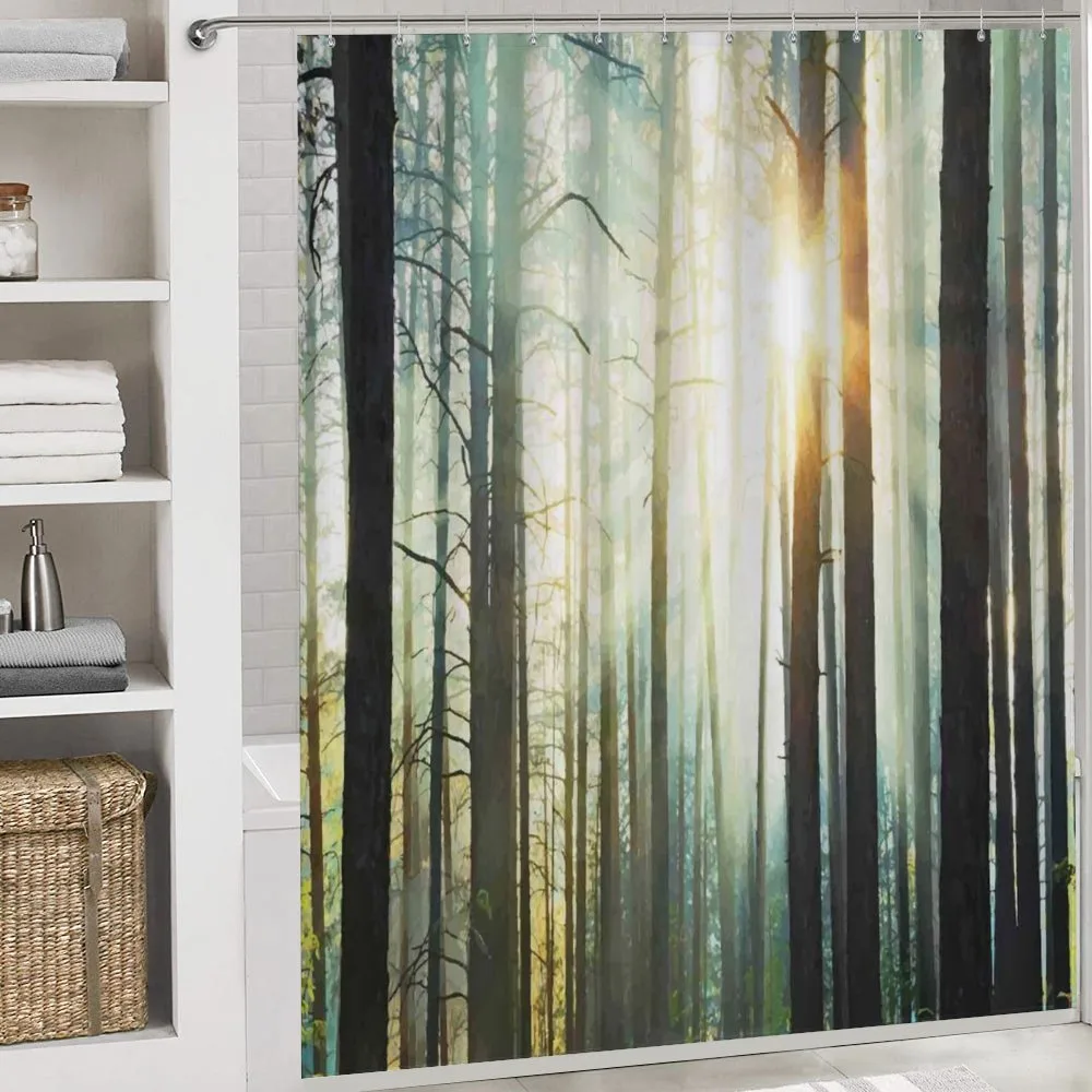 Fairy Foggy Forest Woods — Detail 4