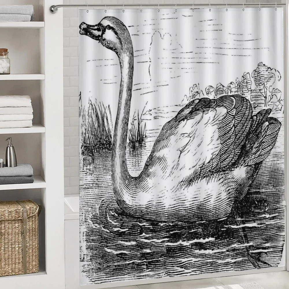 Hand Drawn Swan Design — Detail 4