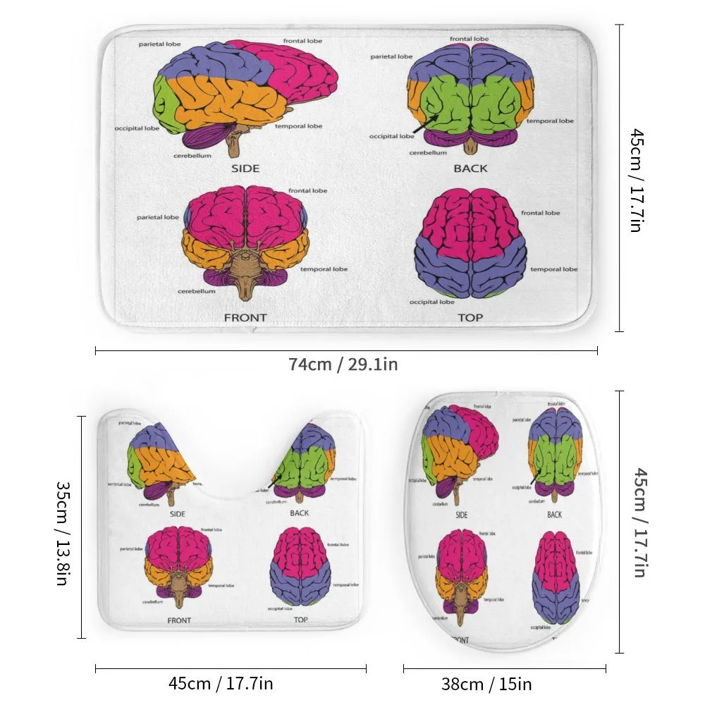 Human Brain Colors — Detail 1