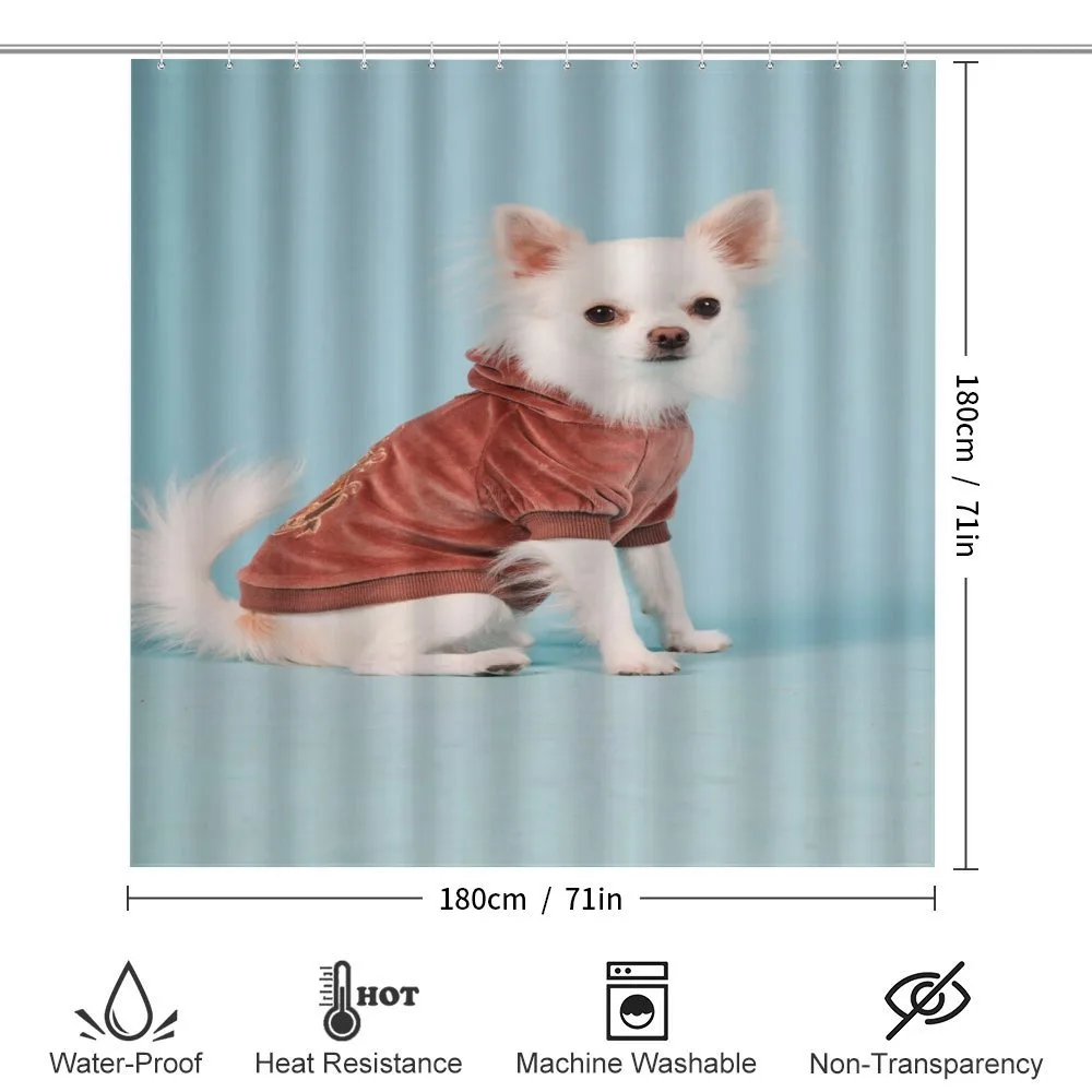 Puppy with Clothes — Detail 2