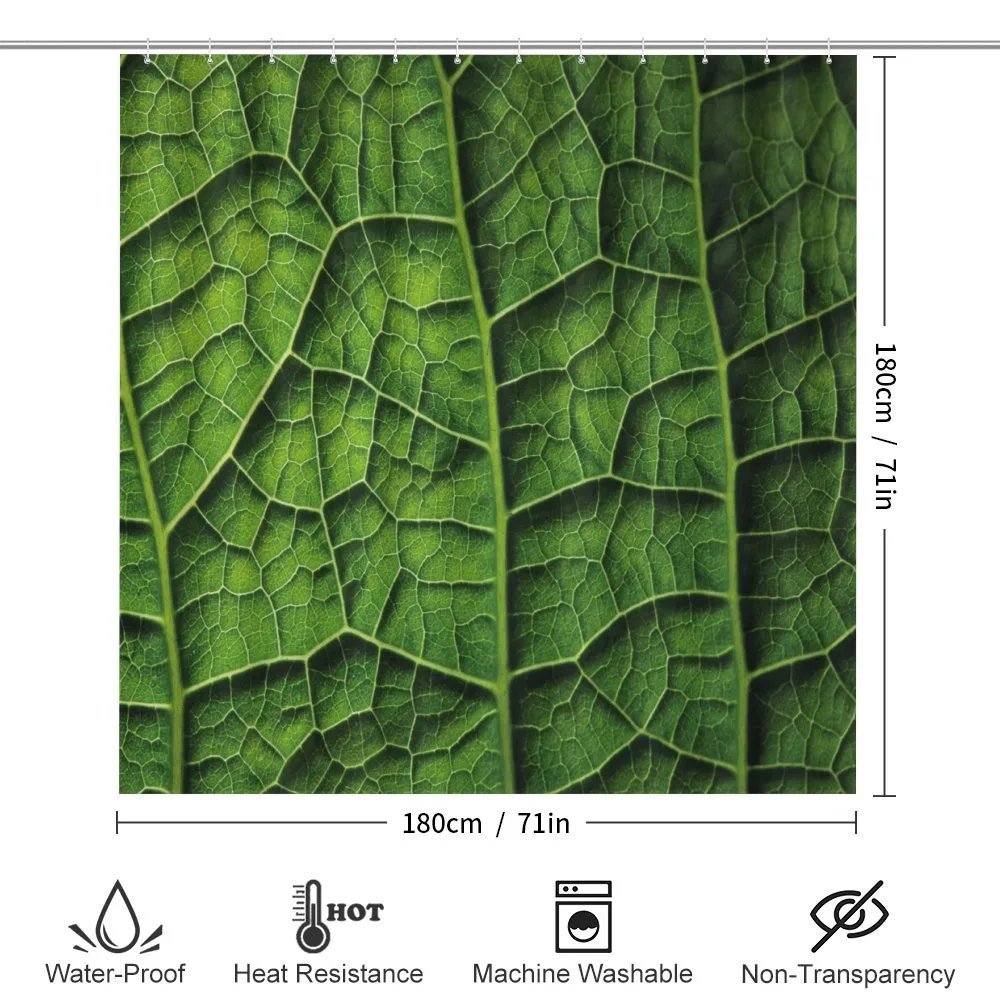 Forest Tree Leaf Texture — Detail 2