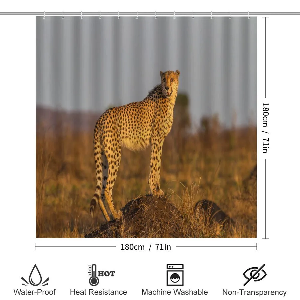 Wild Cheetah — Detail 2