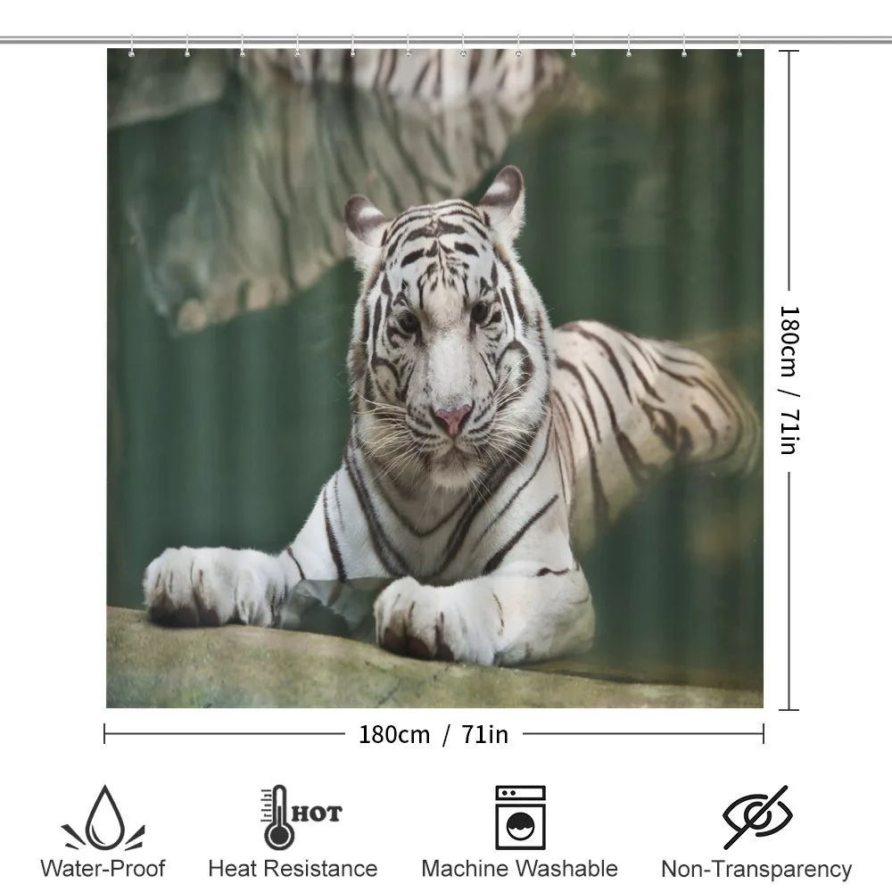 White Tiger Swimming Fun — Detail 2