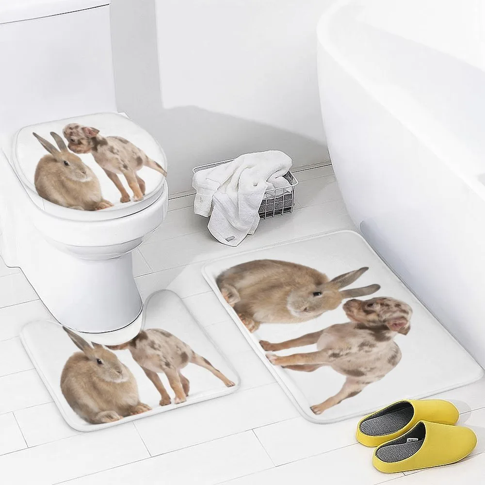 Chihuahua Puppy with Rabbit — Detail 3