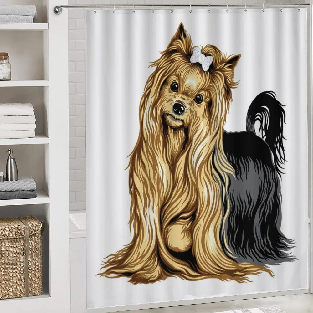 Long Haired Domestic Pet — Detail 4