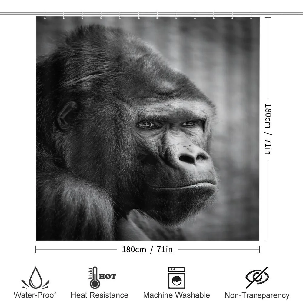 Close up Orangutan Portrait — Detail 2