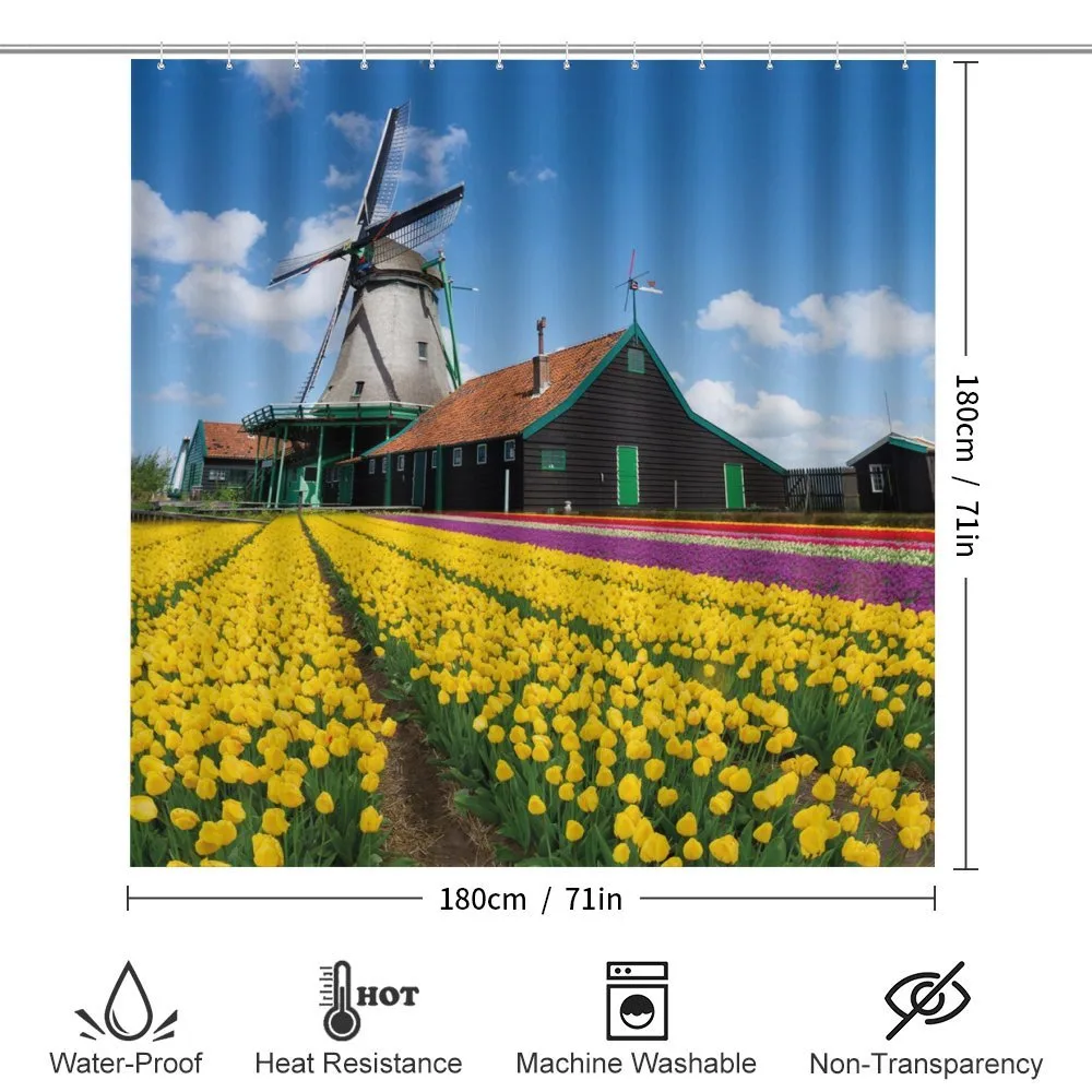 Dutch Tulips Country — Detail 2