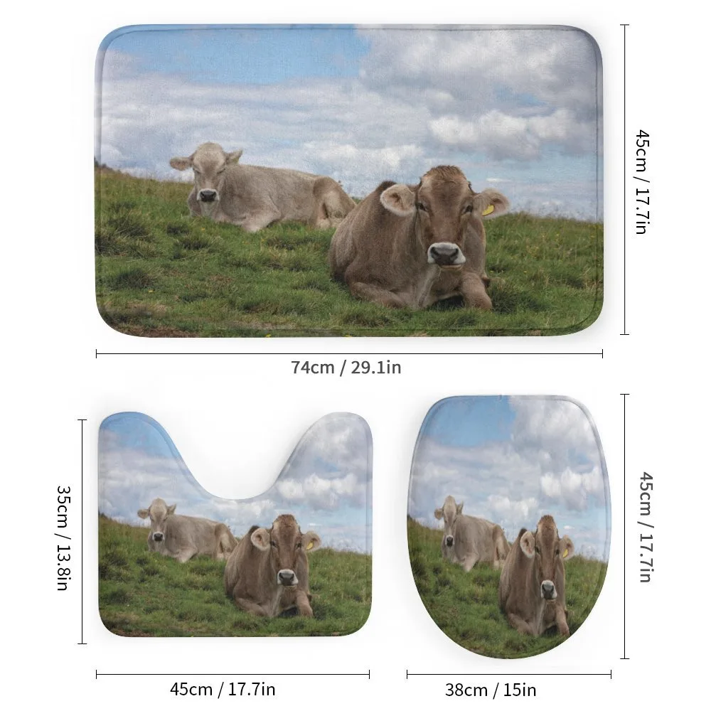 Resting Cows and Sky — Detail 1