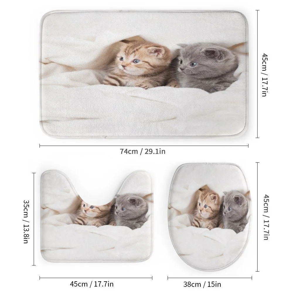 Scottish Fold Kittens — Detail 1