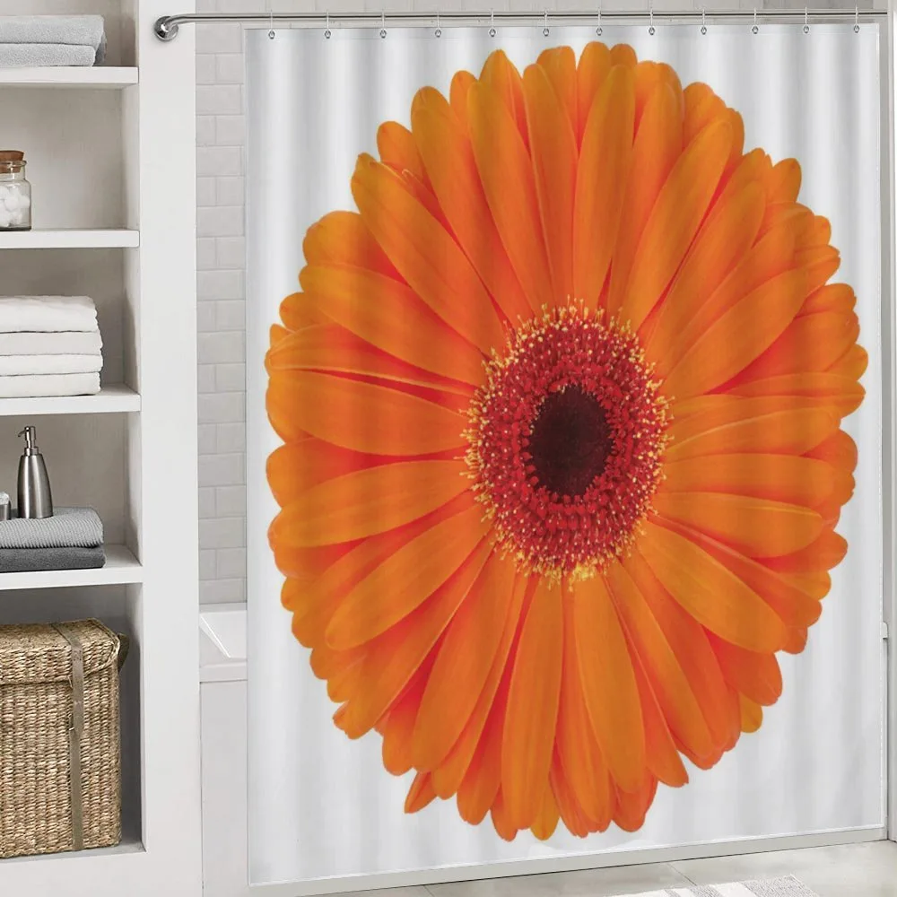 Vivid Flower of Gerbera — Detail 4