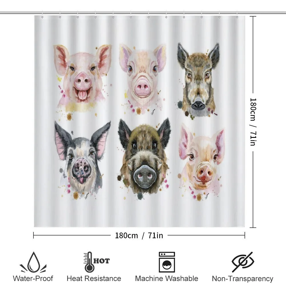 Breeds of Pig — Detail 2