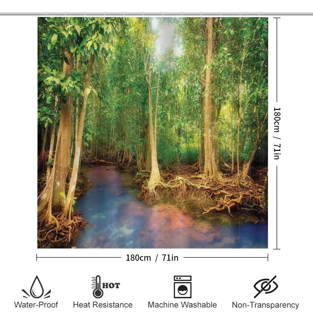 Roots of Mangrove Trees — Detail 2