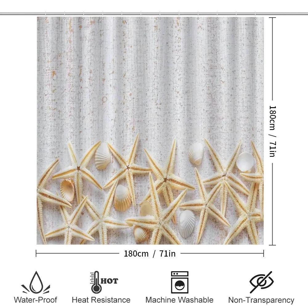 Sea Shells on Timber — Detail 2