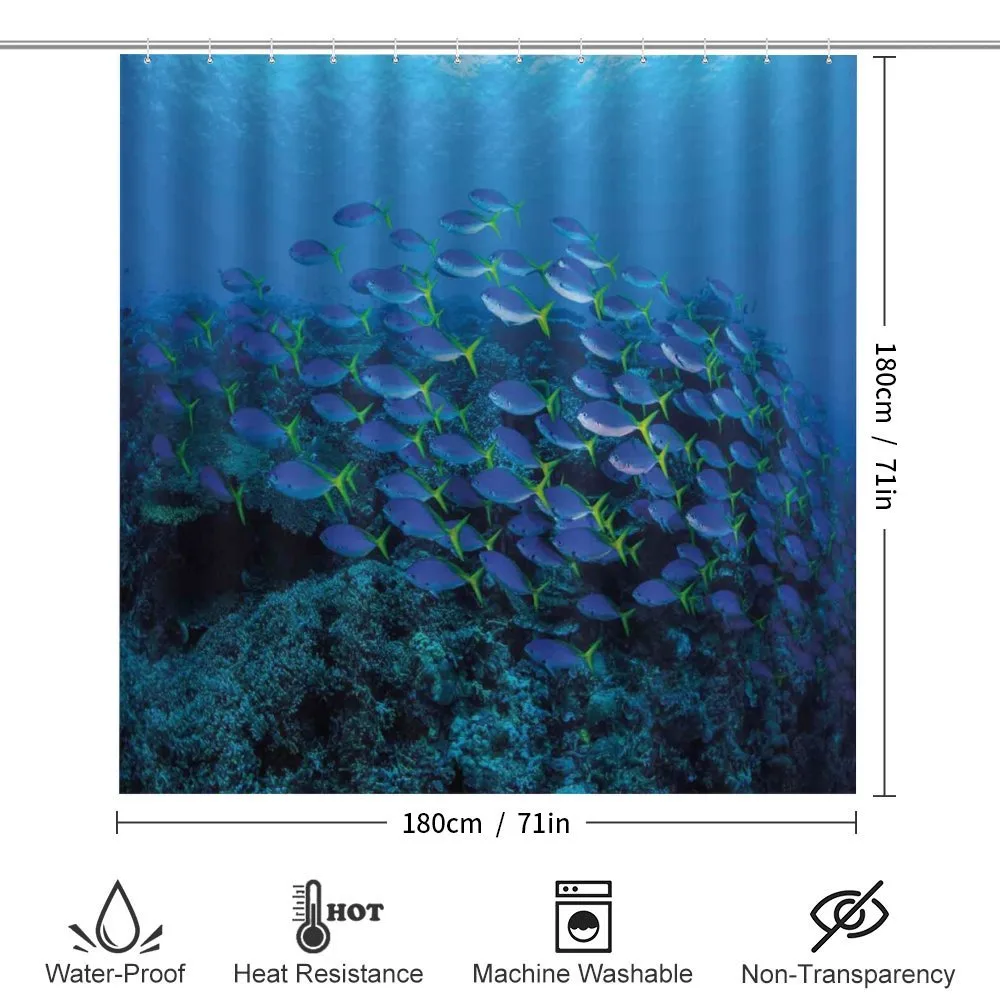 Shoal Reef Ocean — Detail 2