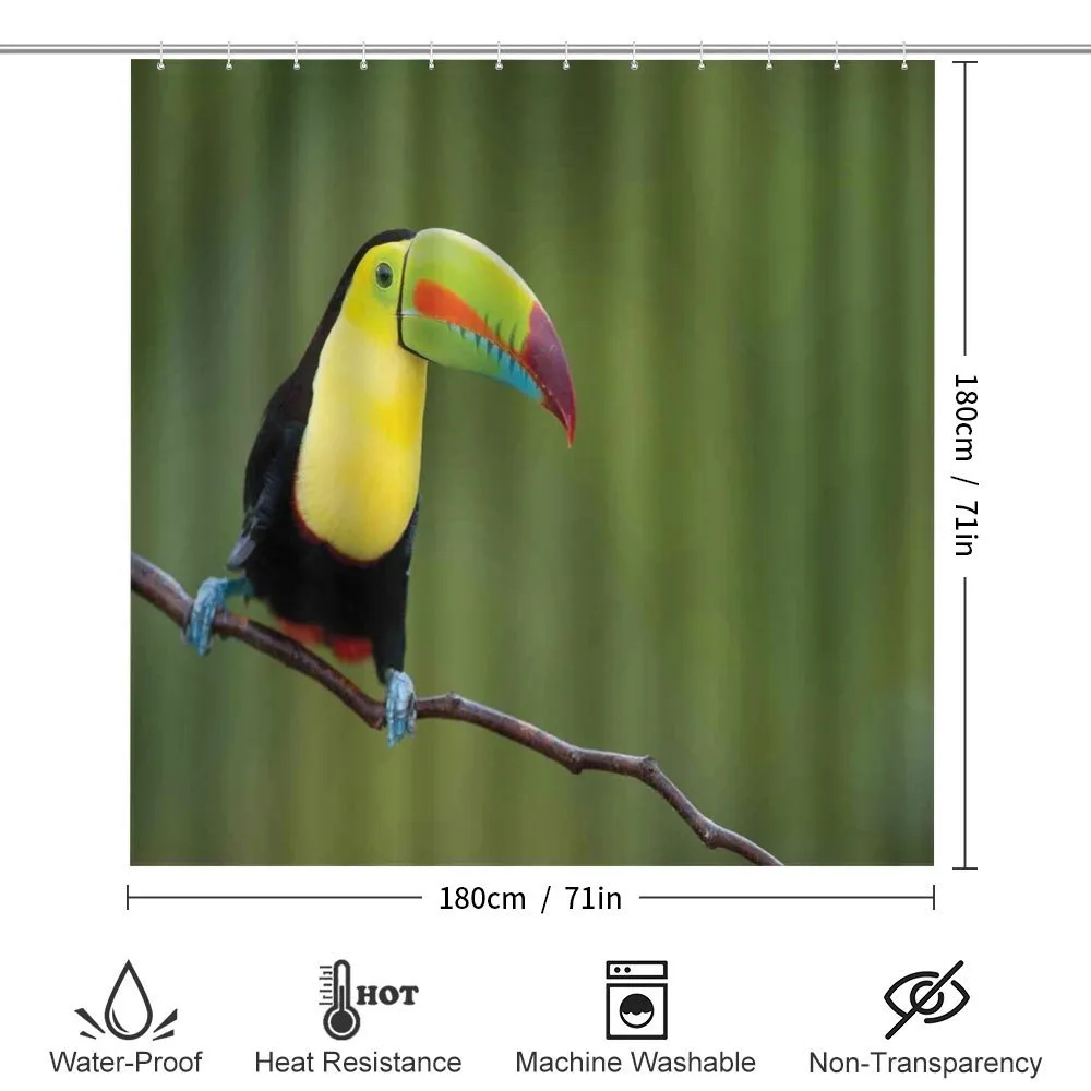 Keel Billed Toucan — Detail 2