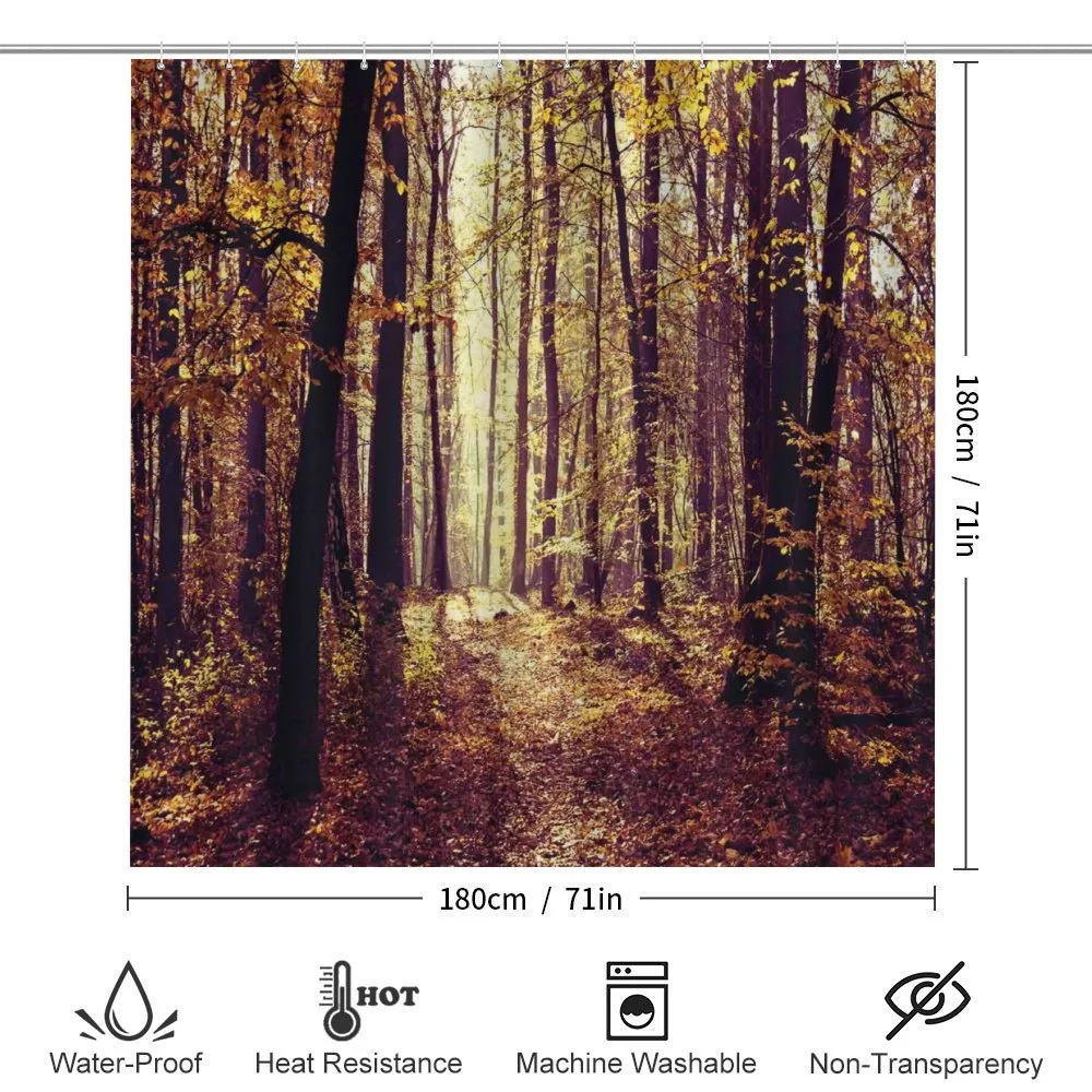 Misty Weather Forest — Detail 2