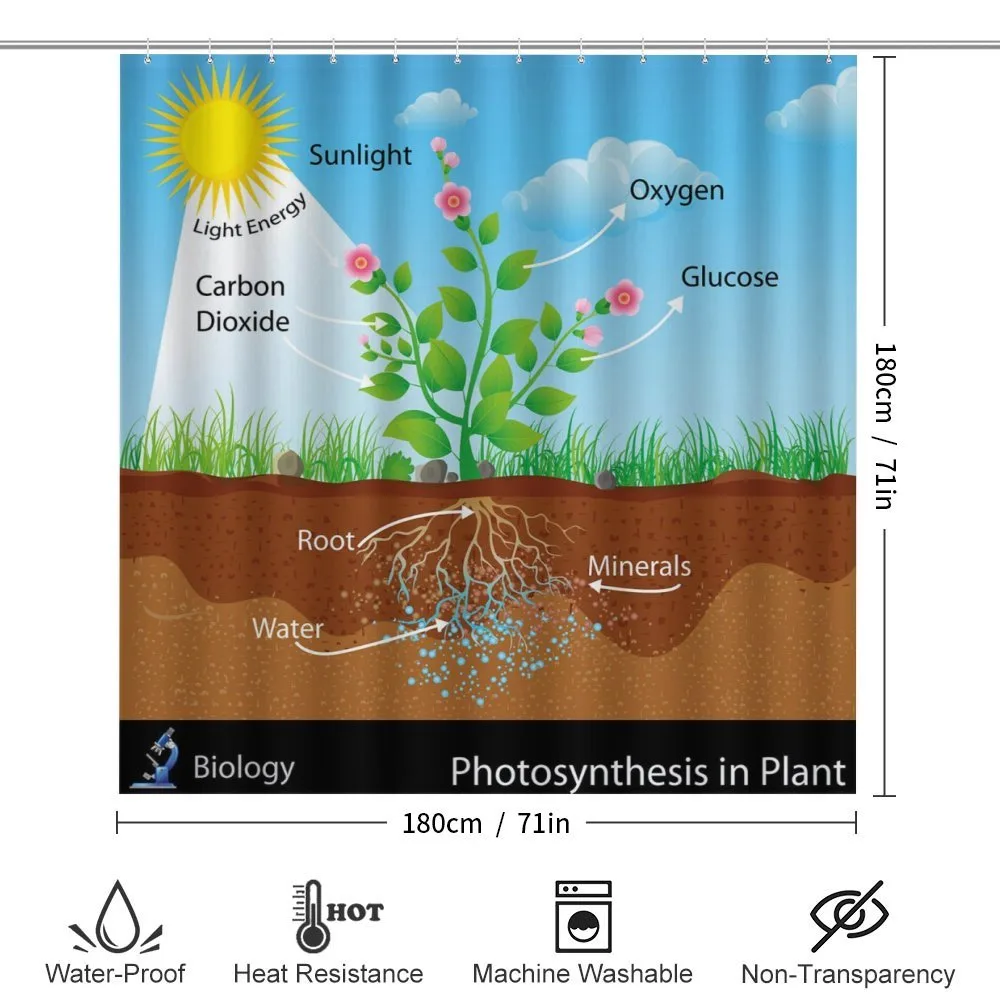 Plant Diagram Style — Detail 2