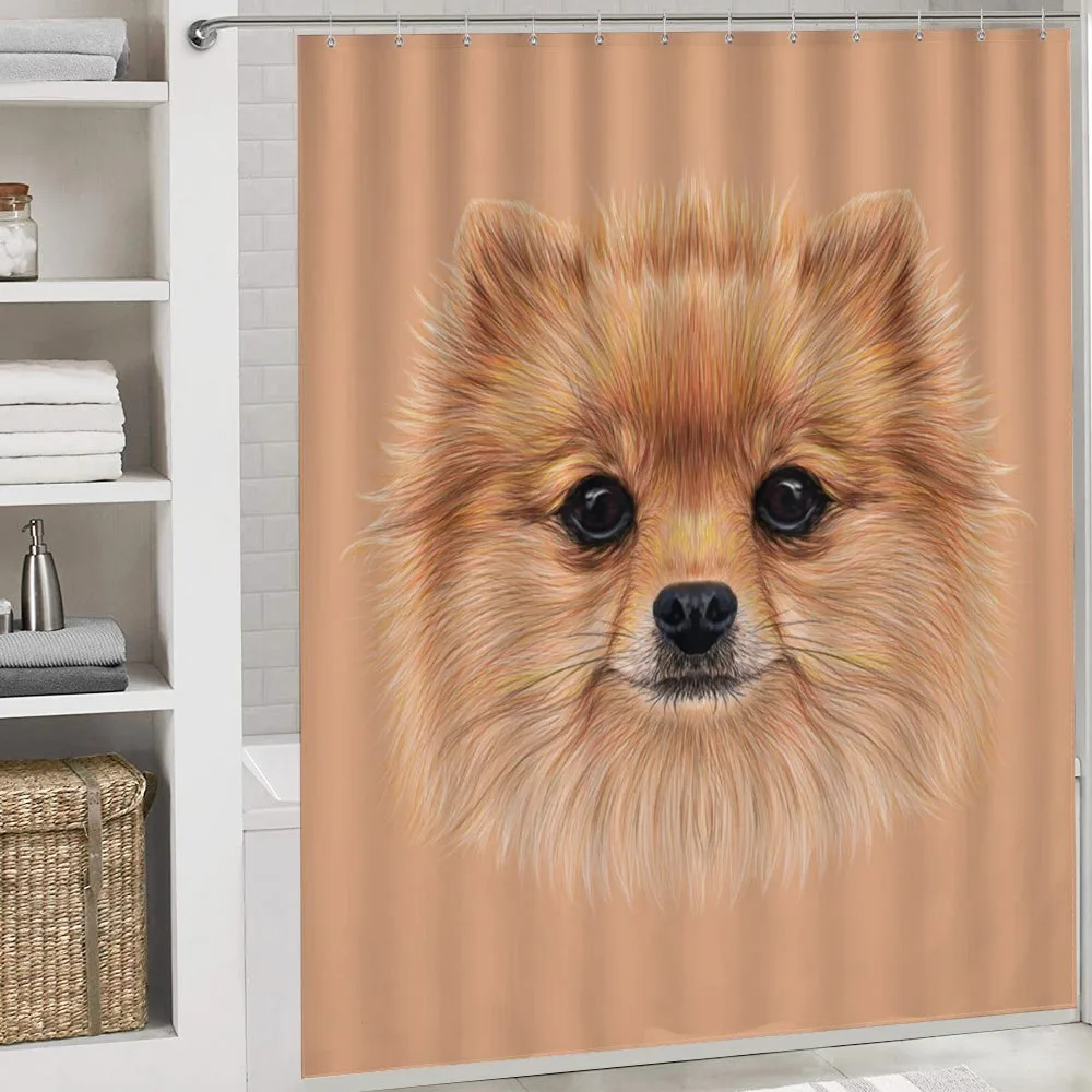 Vintage Pomerian Dog — Detail 4