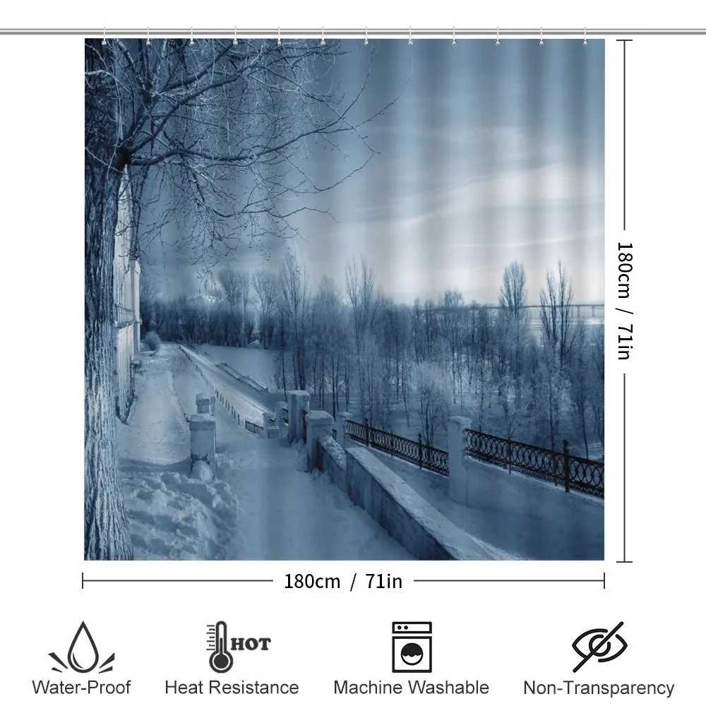 Ice Cold Snowy Scenery — Detail 2