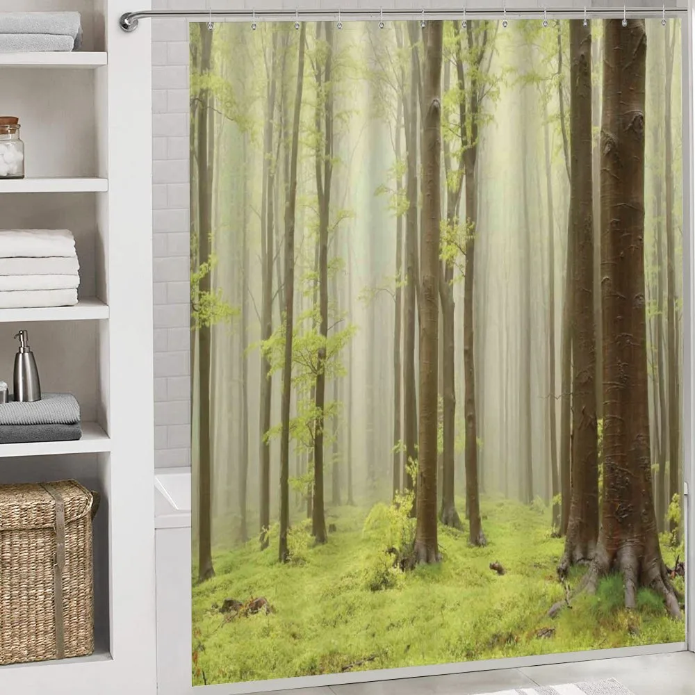 Misty Beech Forest Photo — Detail 4