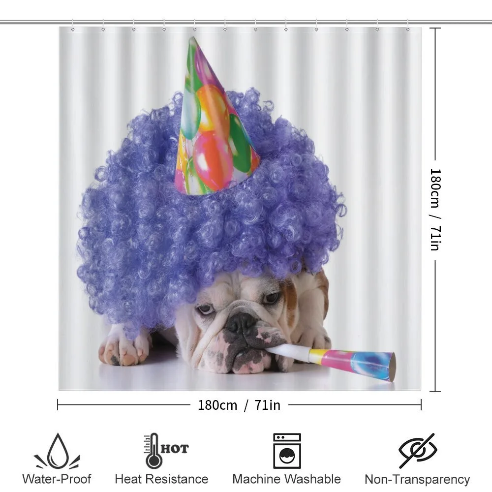 Party Dog Animal — Detail 2