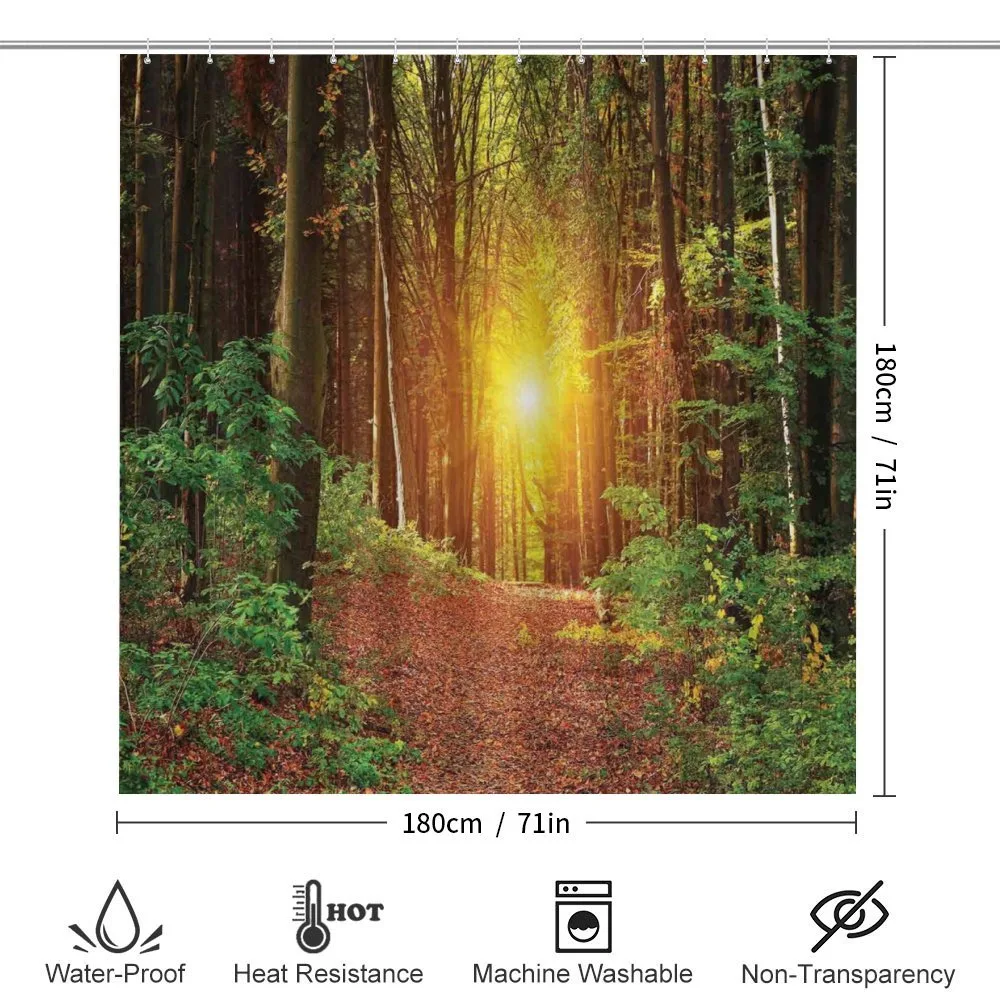Pathway to Timberland — Detail 2