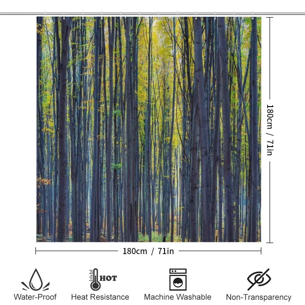 Autumn Woodland Nature — Detail 2