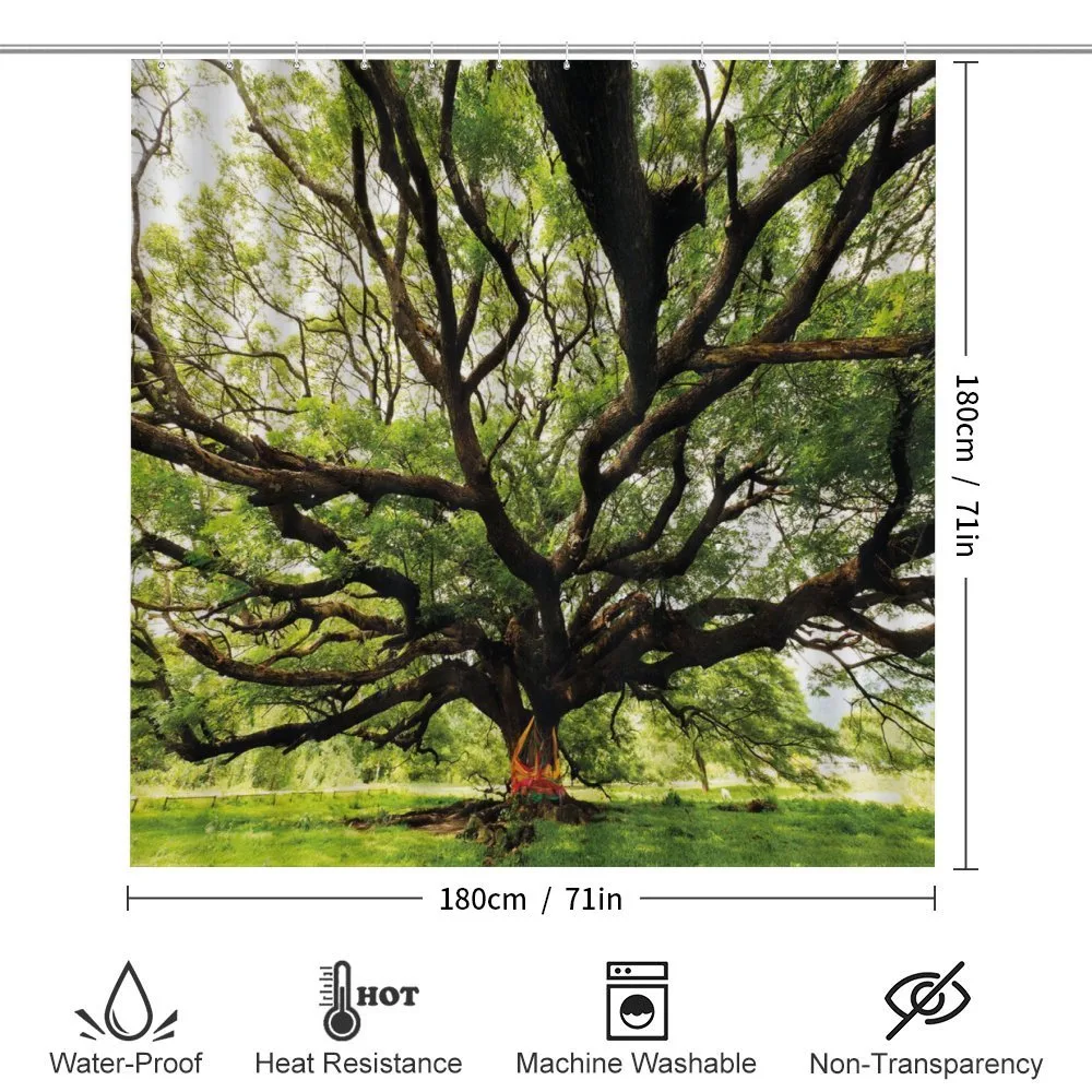 Majestic Tree Thailand — Detail 2