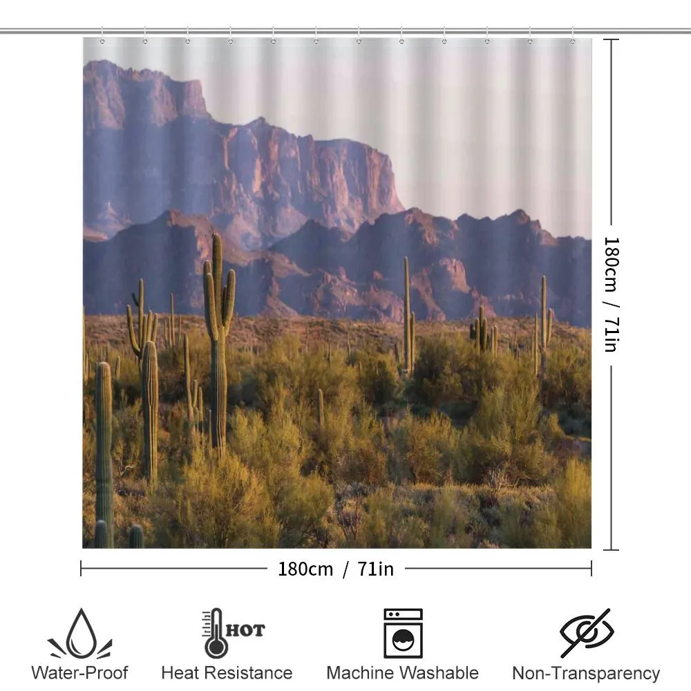 Cactus Mountain in Spring — Detail 2