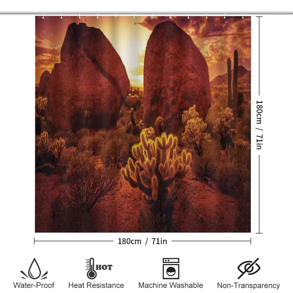 Cactus Rocks Desert Scenery — Detail 2