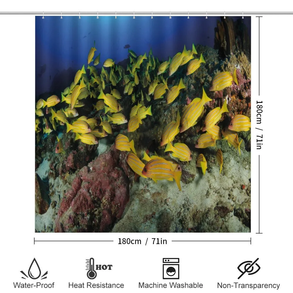 Tropical Fish Coral Reef — Detail 2