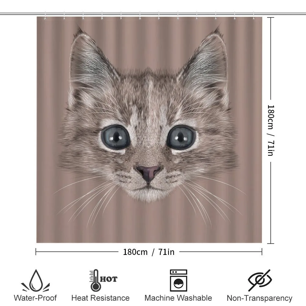 Domestic Cat Face — Detail 2