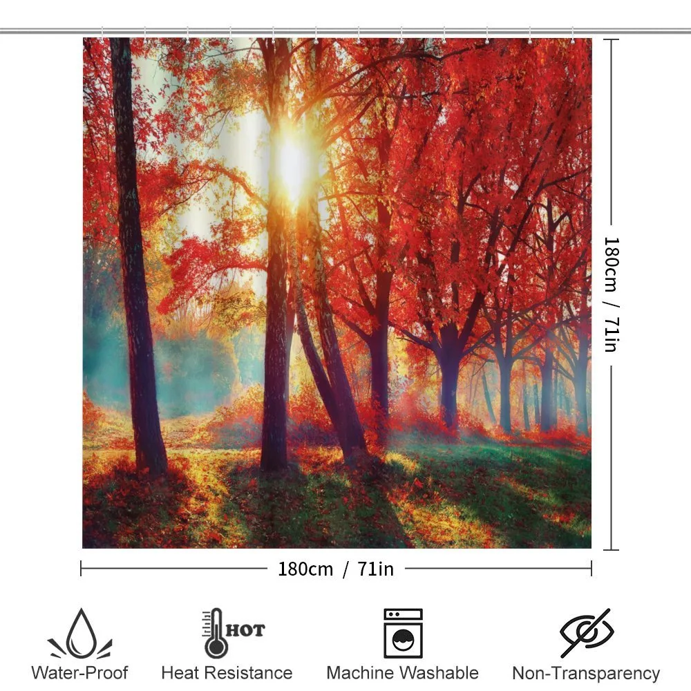 Foggy Autumnal Park Scenic — Detail 2