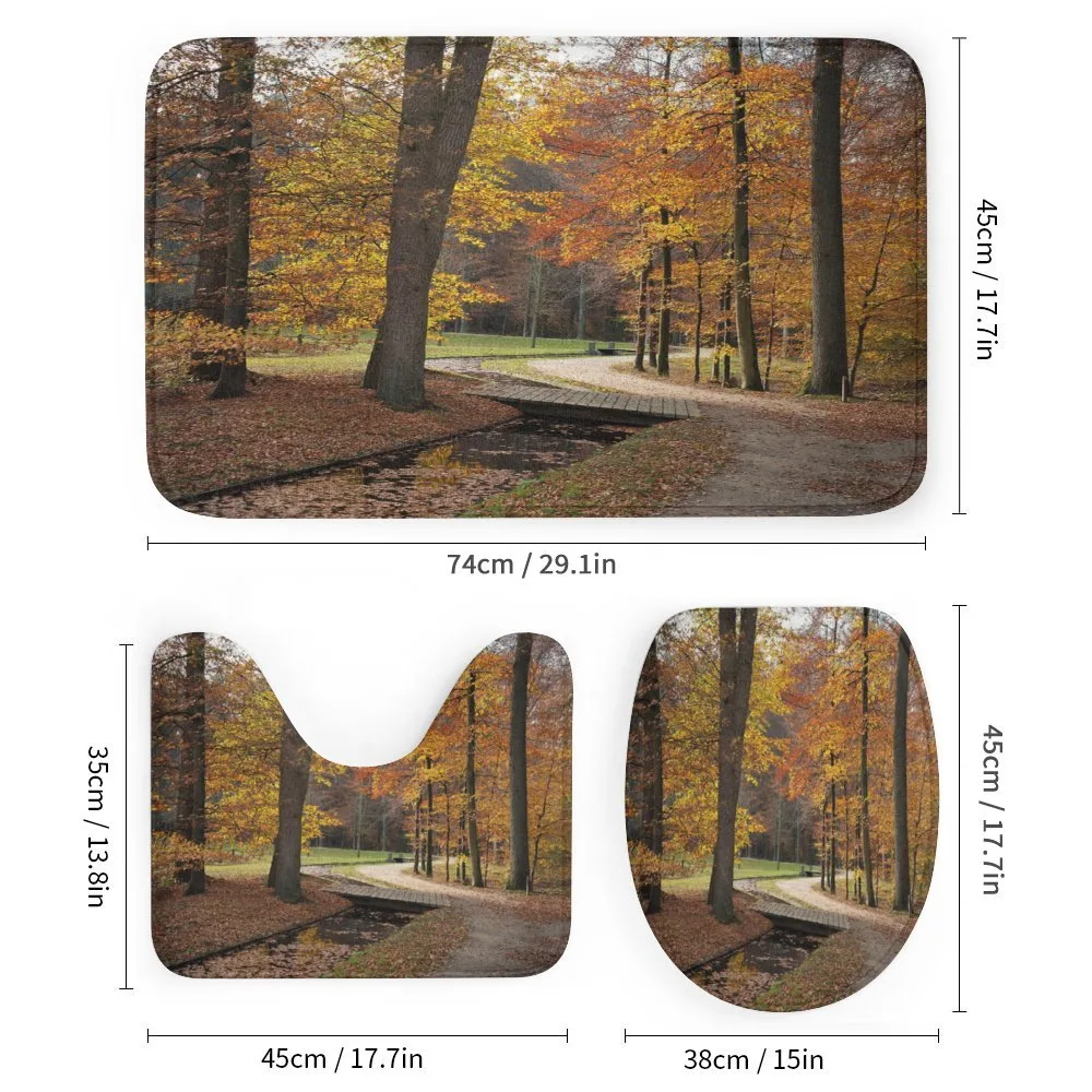 Gloomy Day Forest Path — Detail 1