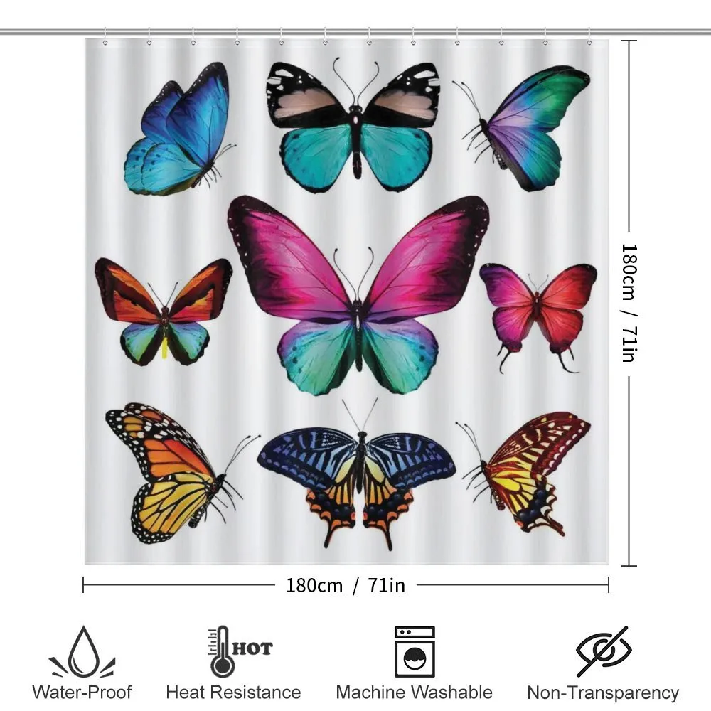 Vibrant Butterflies Set — Detail 2