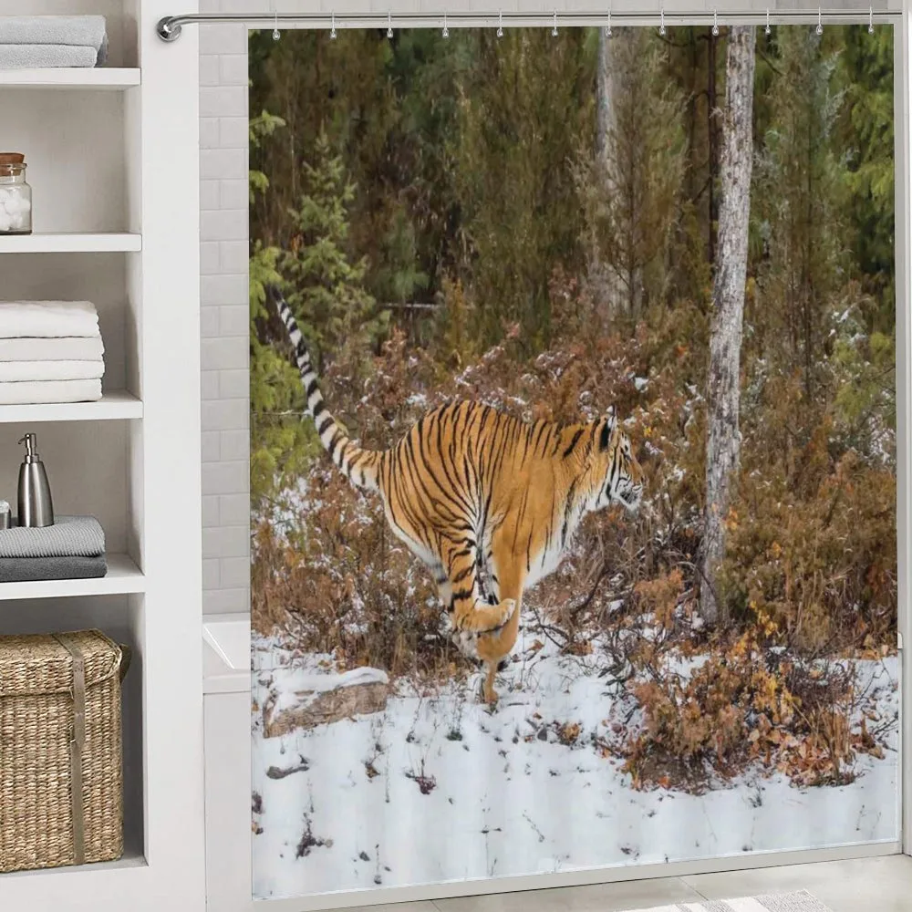 Bengal Tiger Wild Animal — Detail 4