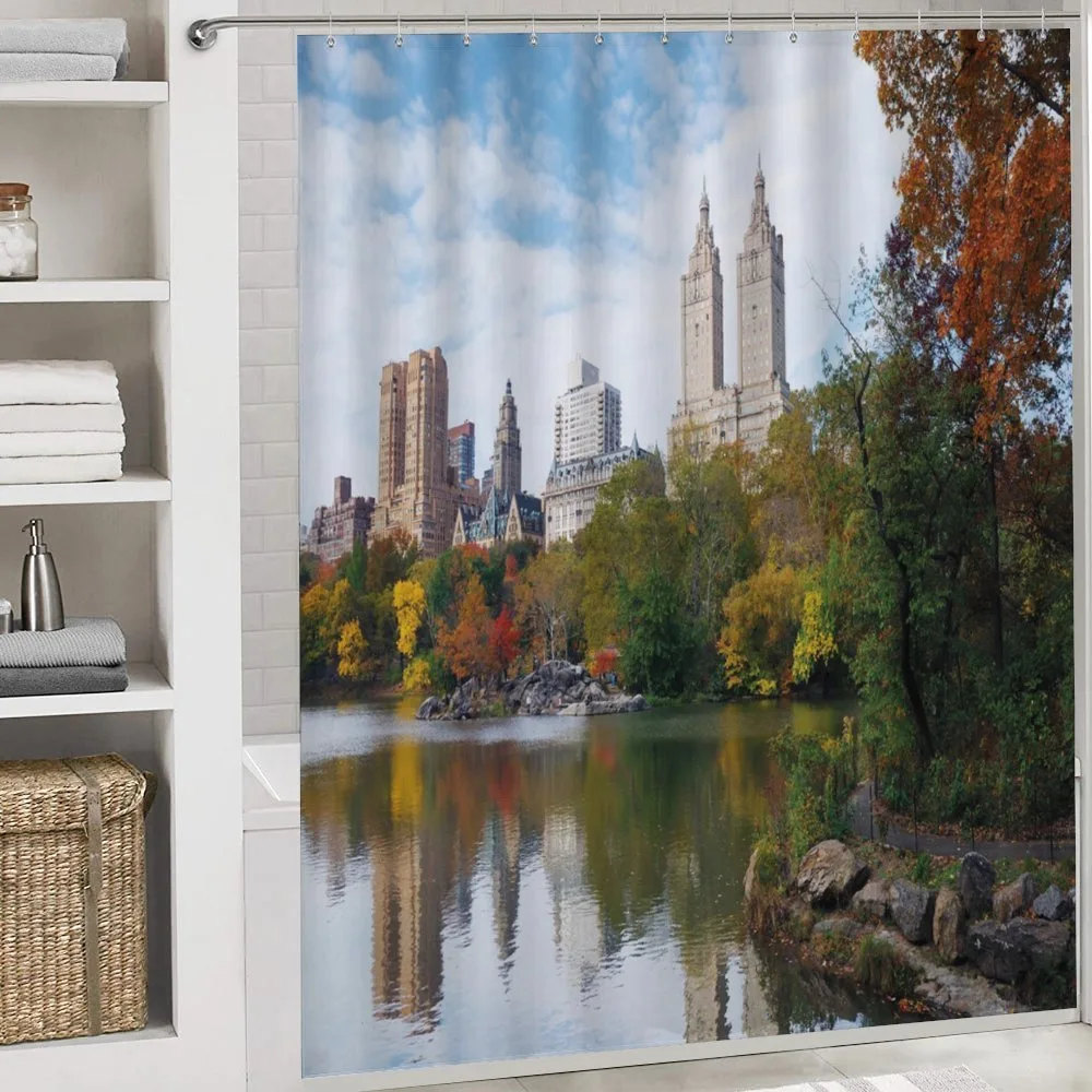 Manhattan Central Park — Detail 4