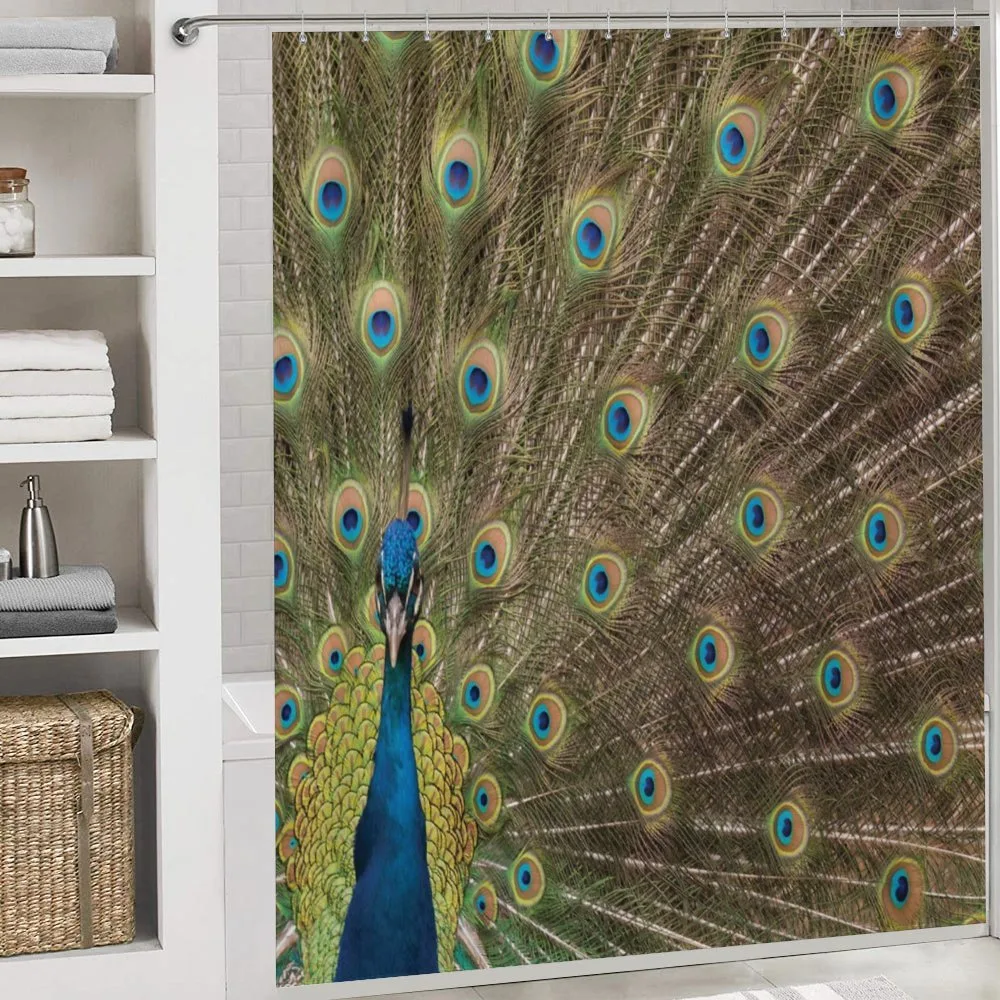 Peacock Making the Wheel — Detail 4