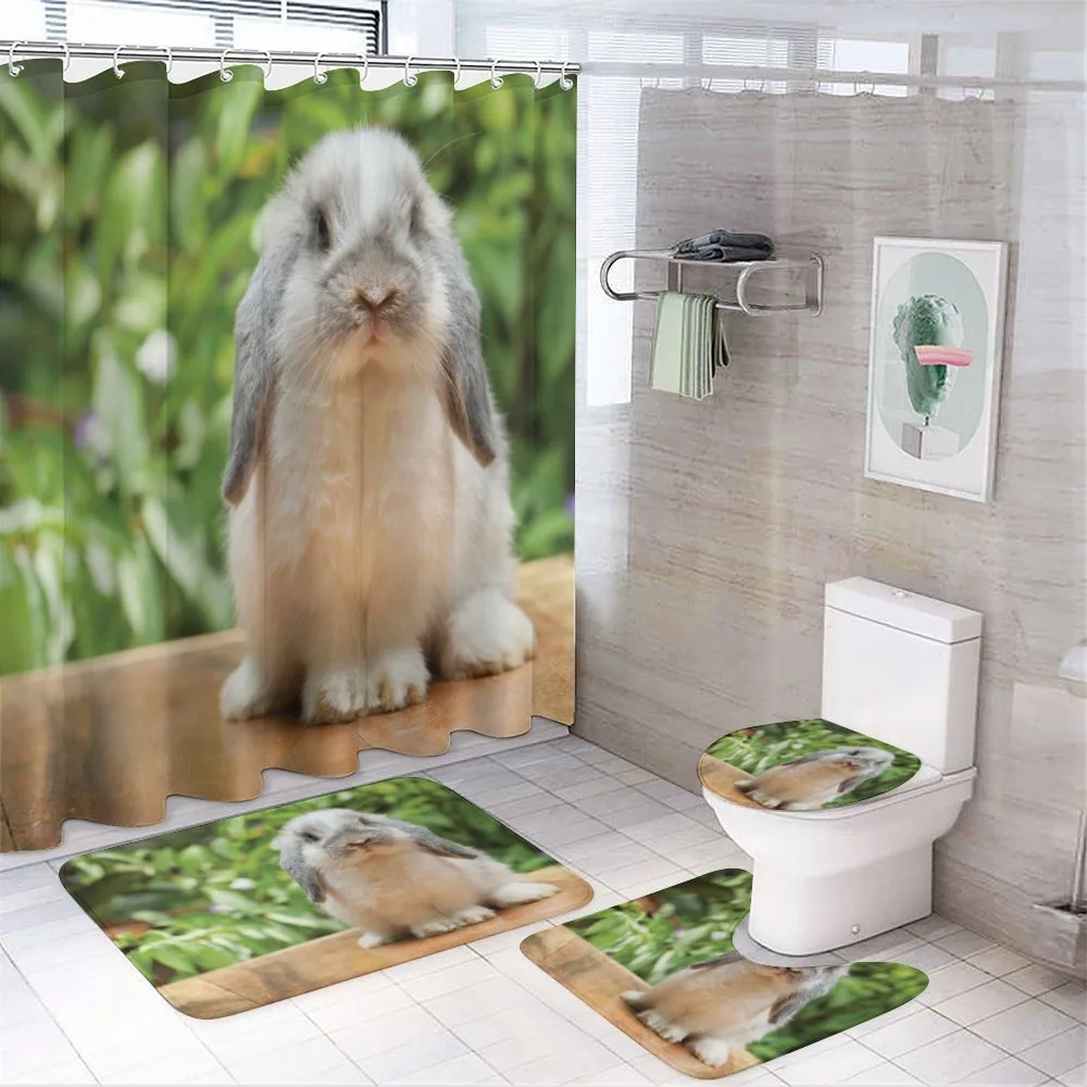 Photo of Holland Lop Rabbit — Your design