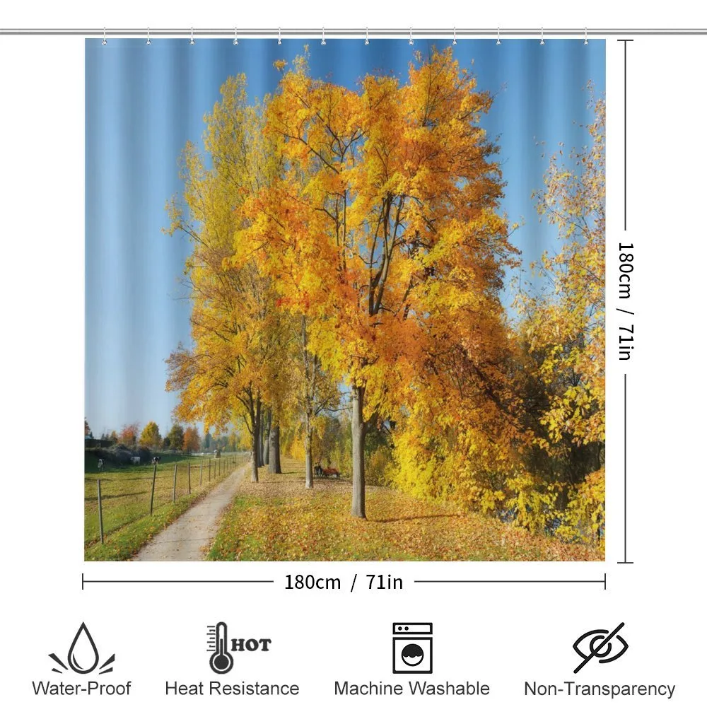 Maple Trees Countryside — Detail 2