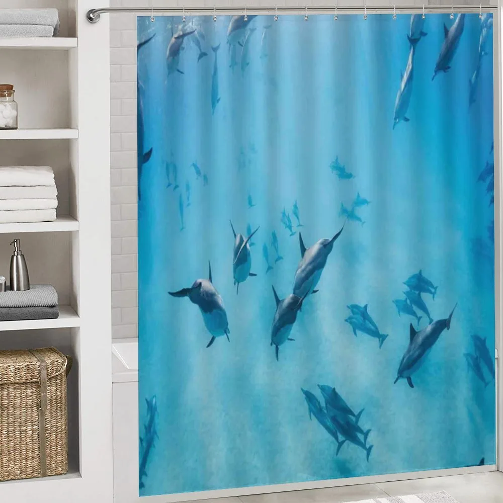 Dolphins Hawaii Ocean — Detail 4