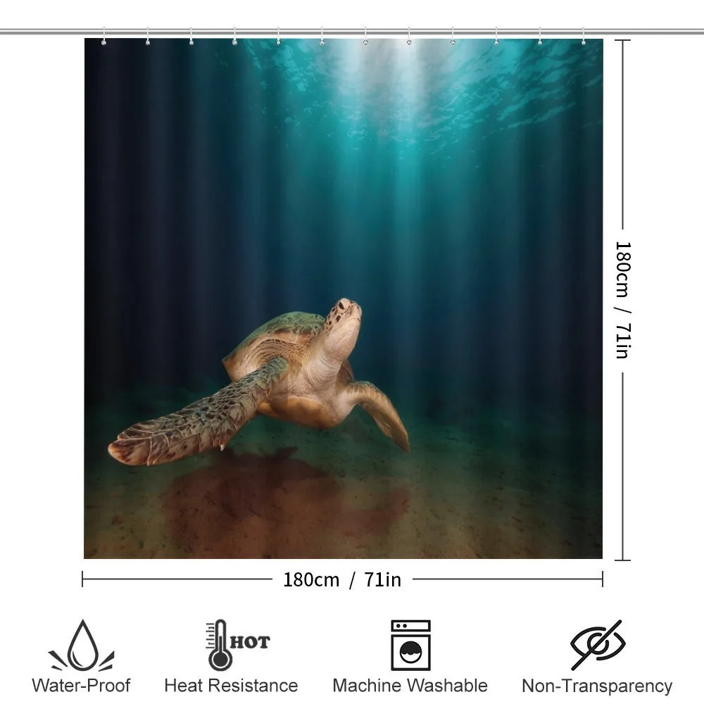 Green Turtle Sunbeam — Detail 2