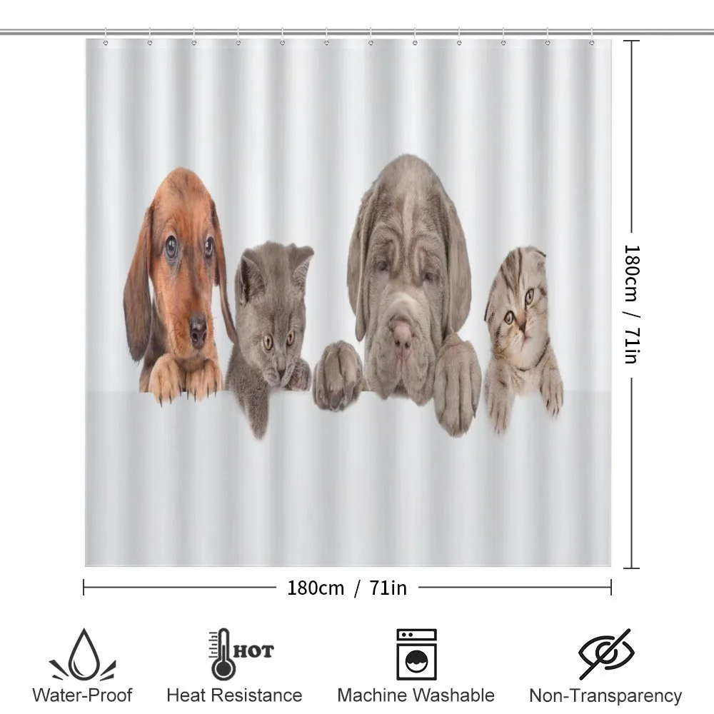 Pets Peeking over Wall — Detail 2