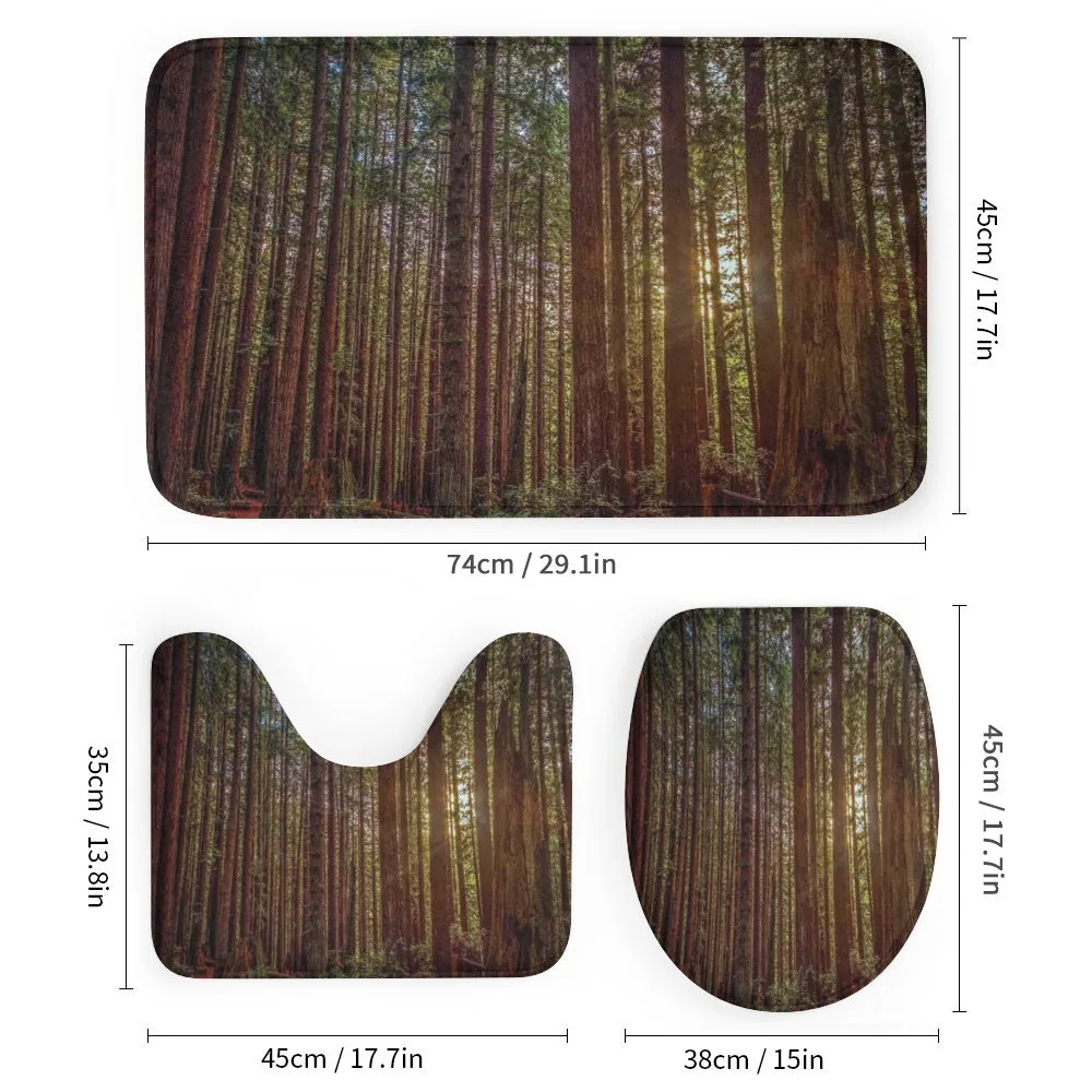 Redwood Forest Park USA — Detail 1