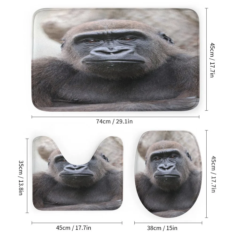 Close up Young Male Gorilla — Detail 1